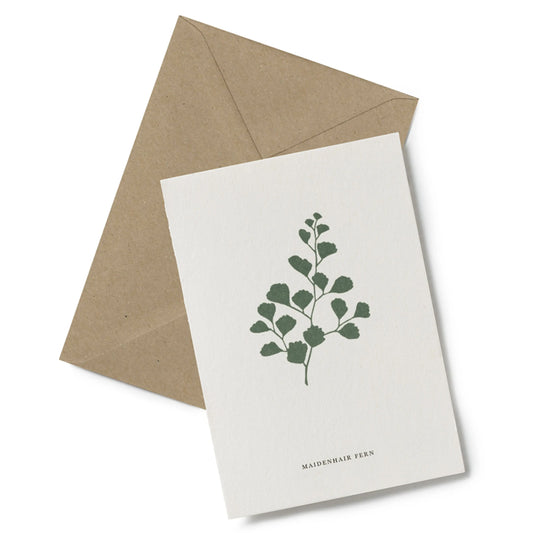 Grußkarte MAIDENHAIR FERN | No. 4 maidenhair fern - Feder&Konfetti Store