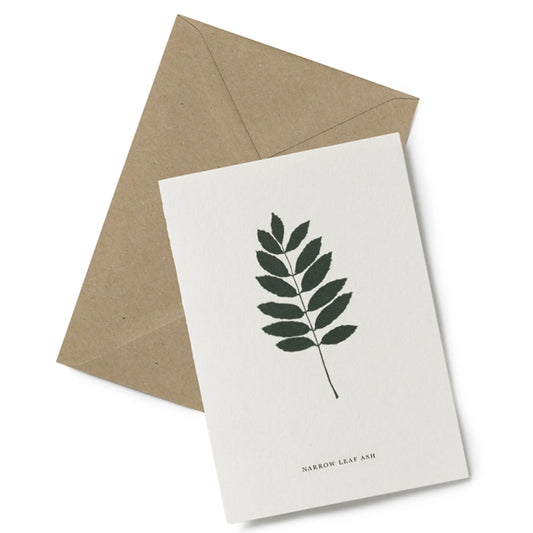 Grußkarte NARROW LEAF ASH | No. 6 Narrow Leaf Ash - Feder&Konfetti Store