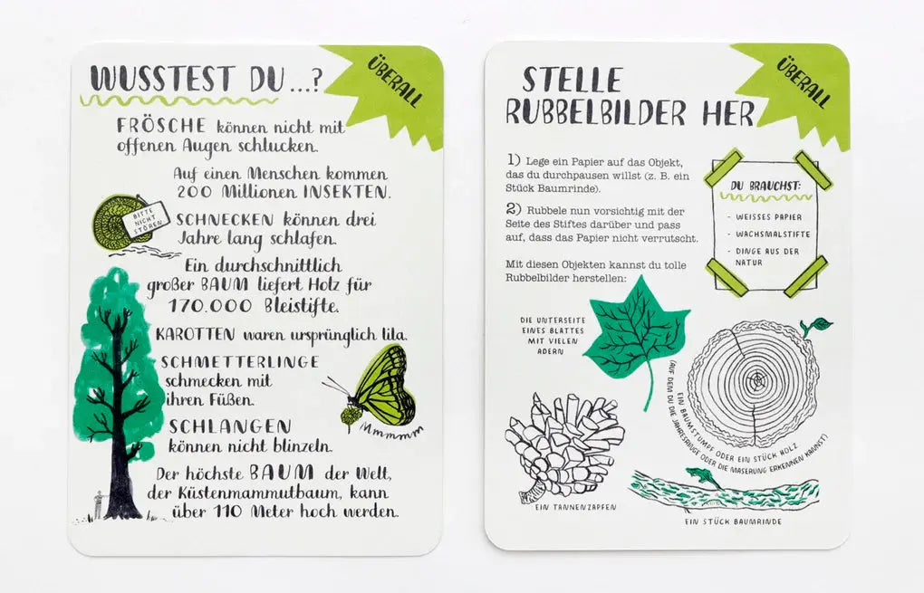Hallo Natur - Activity Karten Laurence King Verlag