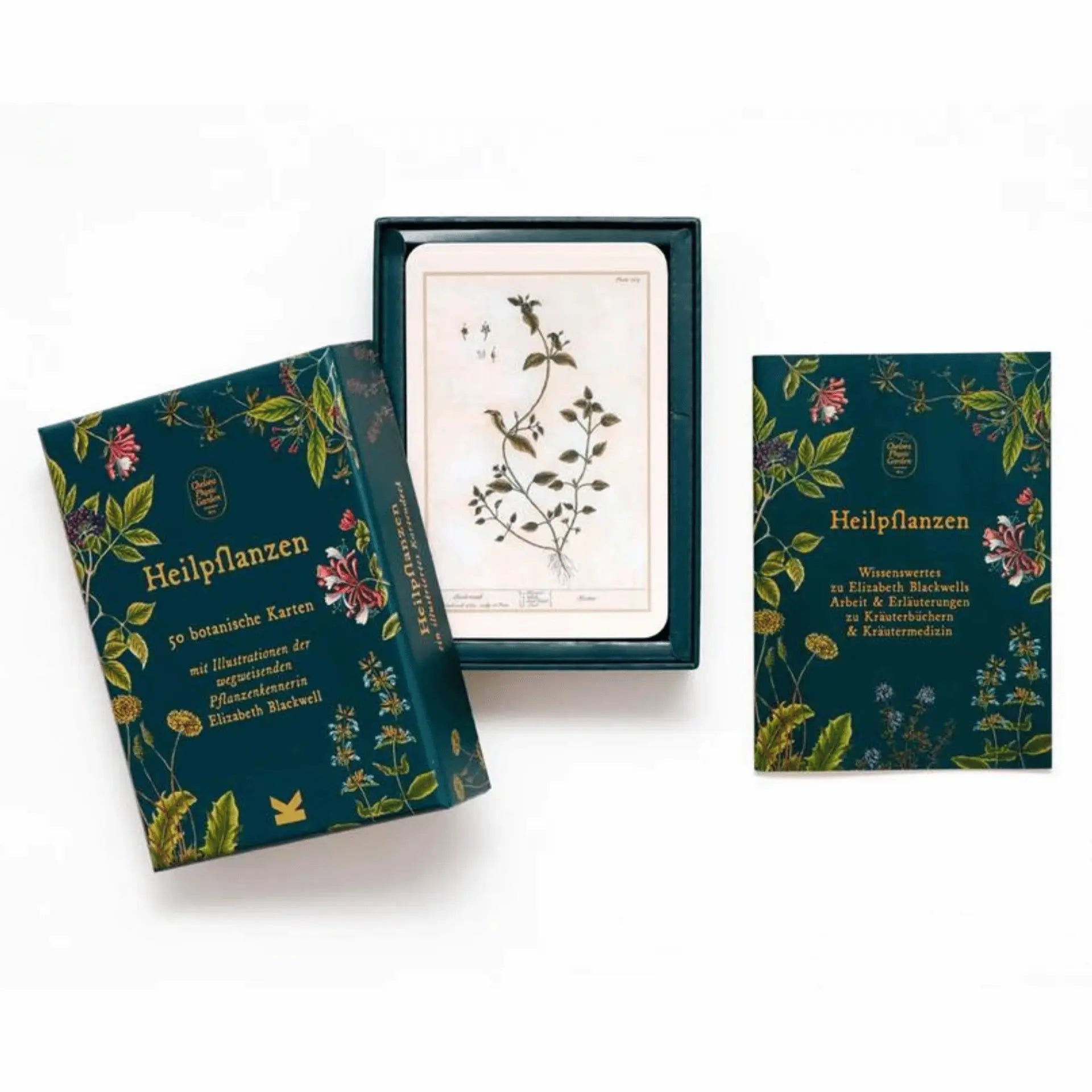 Heilpflanzen | 50 botanische Karten Laurence King Verlag