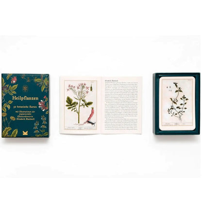 Heilpflanzen | 50 botanische Karten Laurence King Verlag