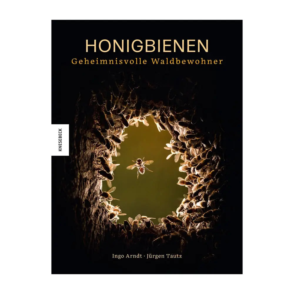 Honigbienen - geheimnisvolle Waldbewohner Knesebeck Verlag