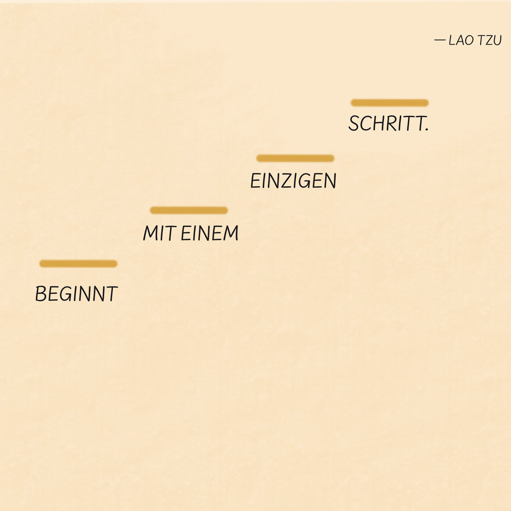 Die Sonne, das Meer und die Sterne | Kailash | Sachbuch