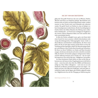 Kunst die Früchte zu zähmen EMF Verlag