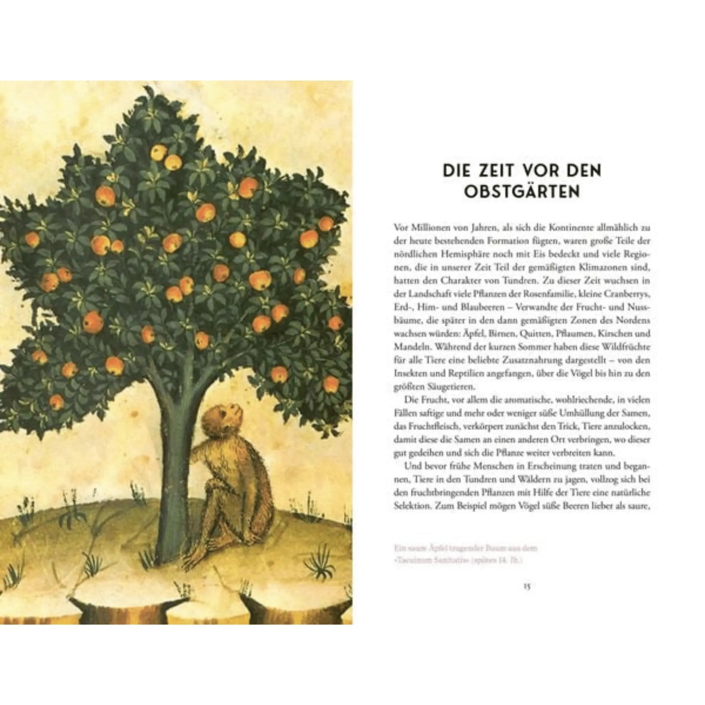 Kunst die Früchte zu zähmen EMF Verlag