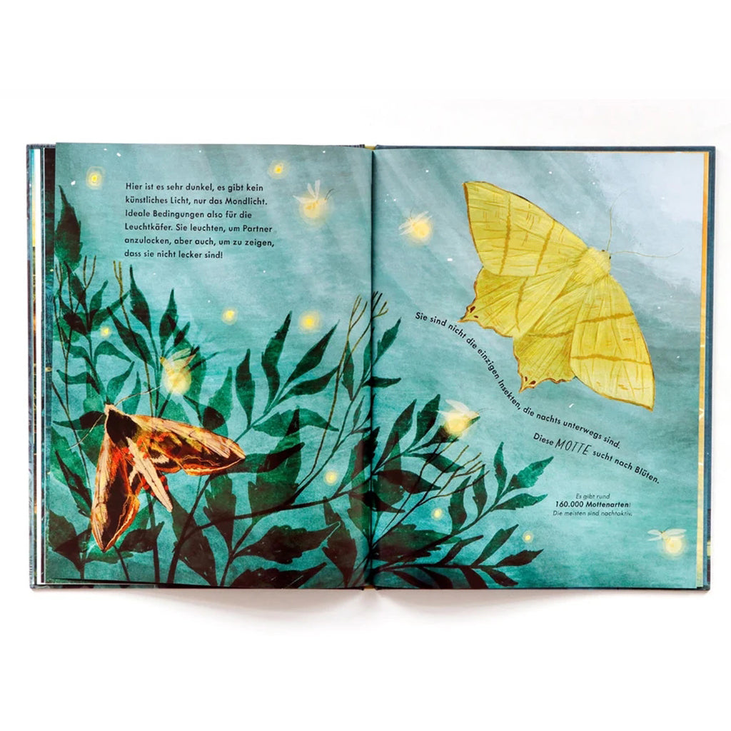 Nachtwanderung | Laurence King | Kinderbuch
