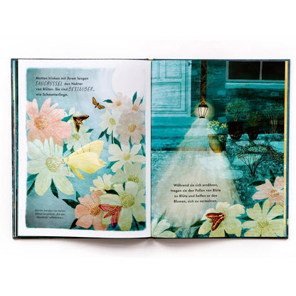 Nachtwanderung | Laurence King | Kinderbuch