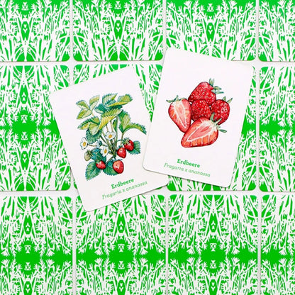 Obst & Gemüse | Laurence King | Garten Memo