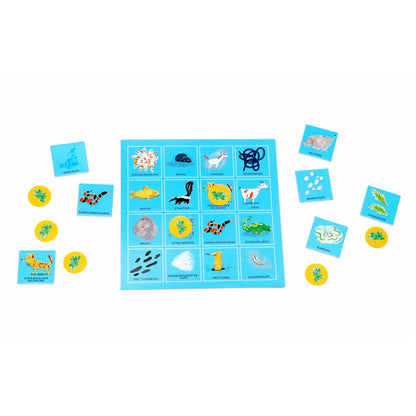 Pups Bingo | Laurence King | Wissensspiel