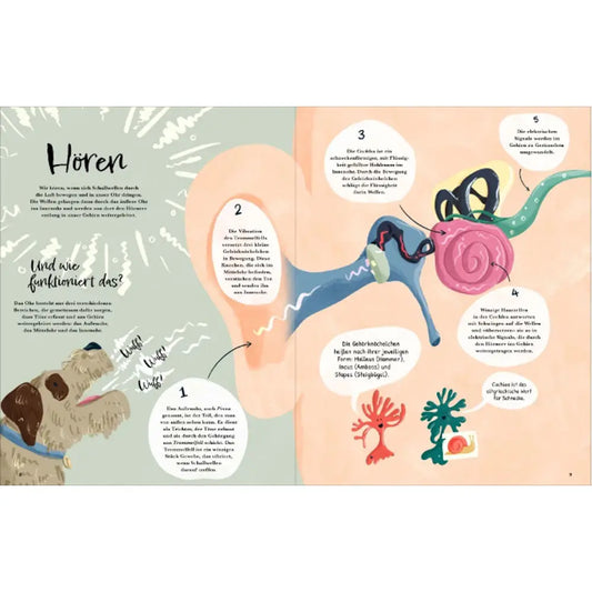 Mit allen sieben Sinnen Knesebeck Verlag