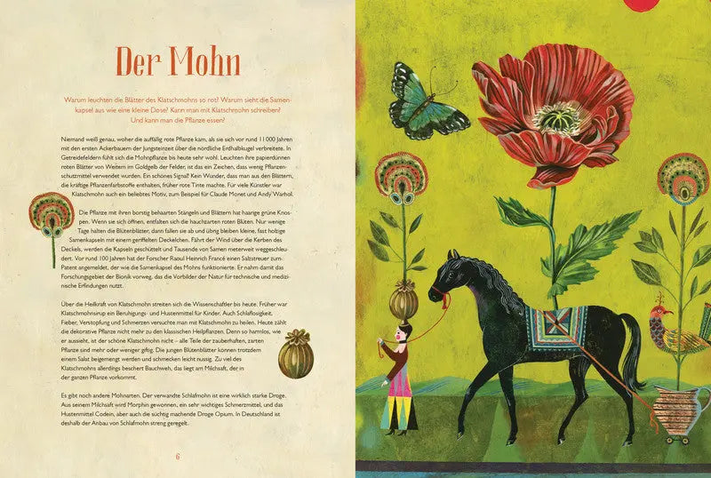 Olaf Hajeks Buch der Blumen Prestel Verlag
