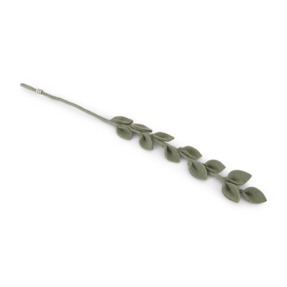 Branch Eucalyptus | Filzblume