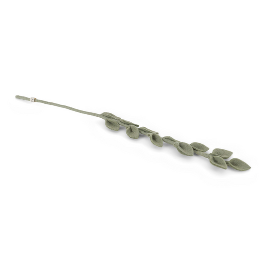 Branch Eucalyptus | Filzblume