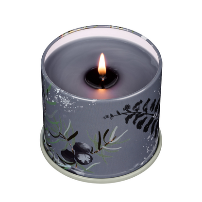 Vanity Tin Ilume | Duftkerze | verschiedene Varianten