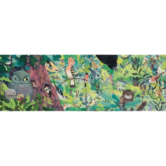 Owls and Birds | Puzzle