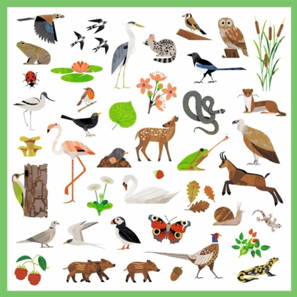 Tierwelt | Sticker-Set