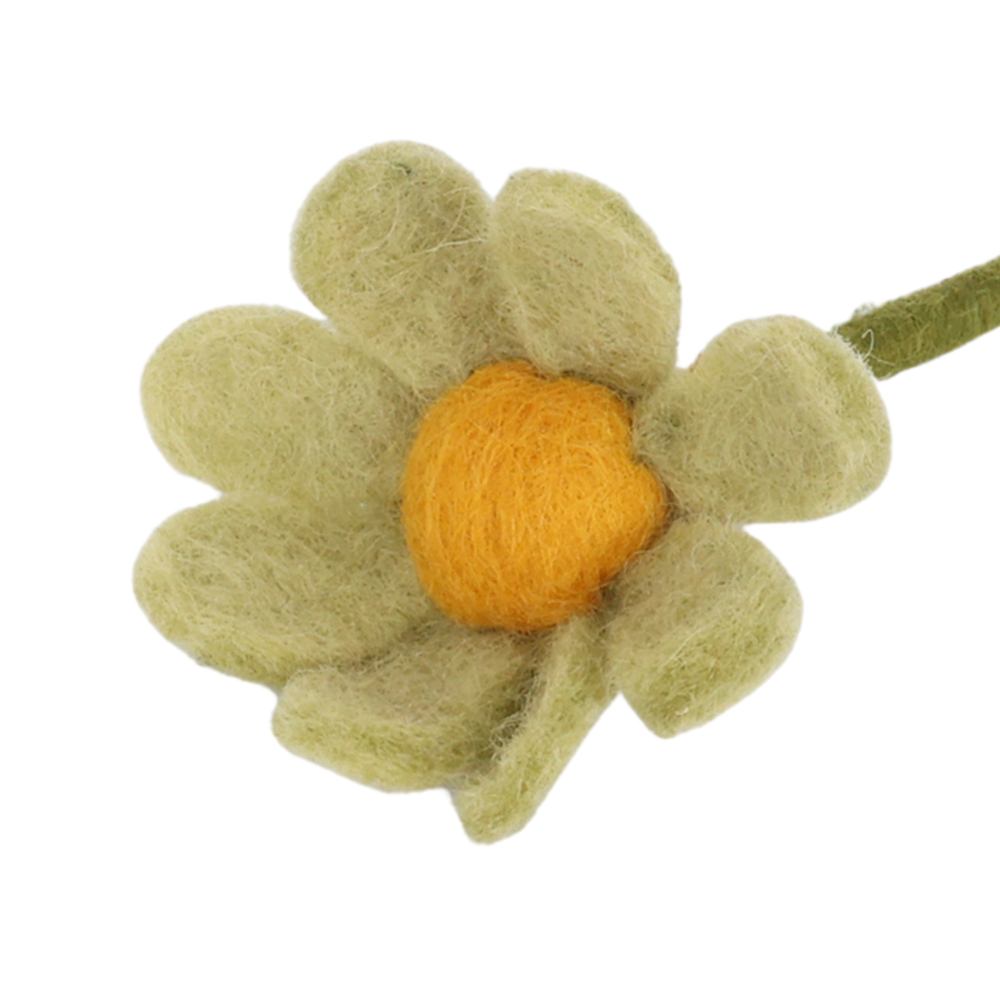 Anemone | Filzblume