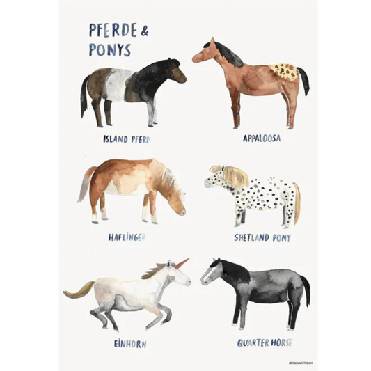 Pferde und Ponys | Poster