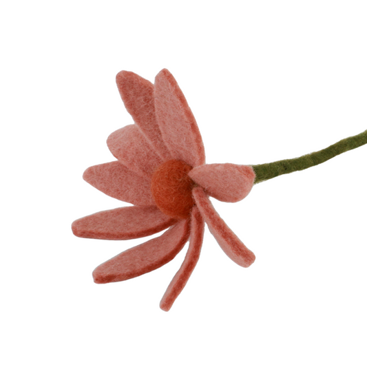 Cosmos Flower Cosmea | Filzblume | 2 Farben