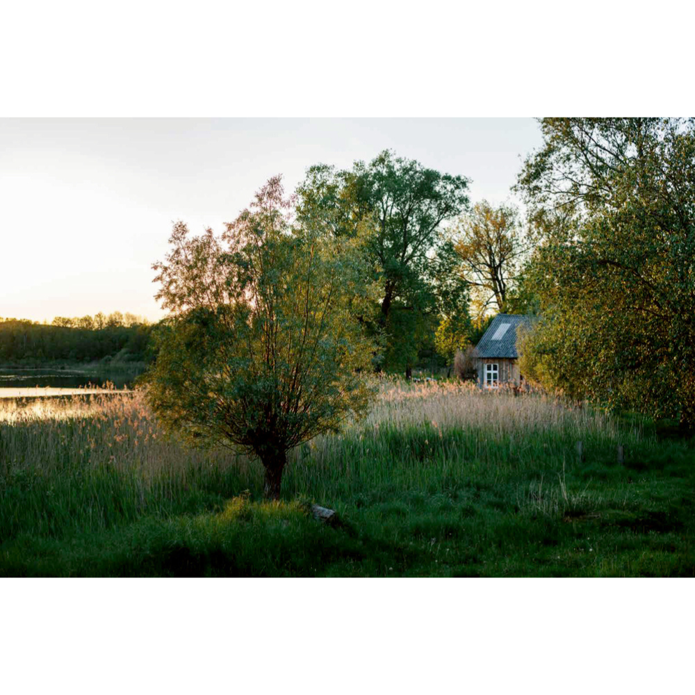 Krautkopf – Vegetarisch kochen & genießen | Erweiterte Neuauflage | Kochbuch