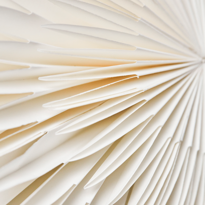 Stern Layer | Weihnachtsstern aus Papier