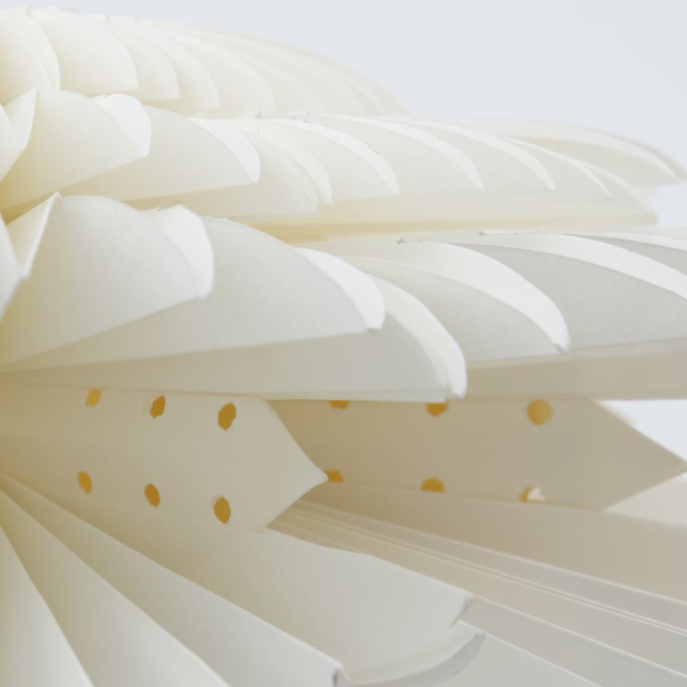 Stern Layer | Weihnachtsstern aus Papier