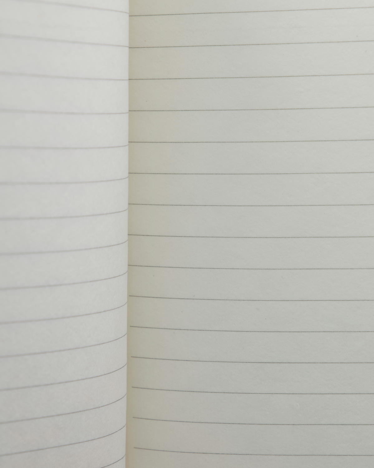 Notes | Notizbuch | 2 Farben