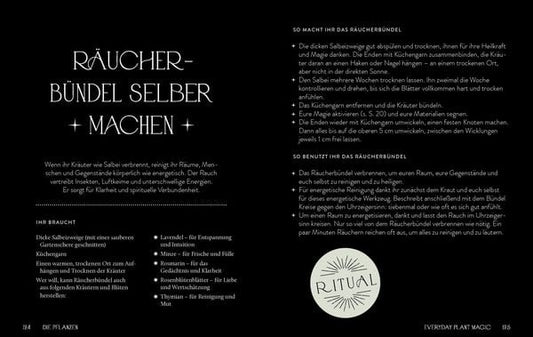 Everyday Plant Magic | Ratgeber