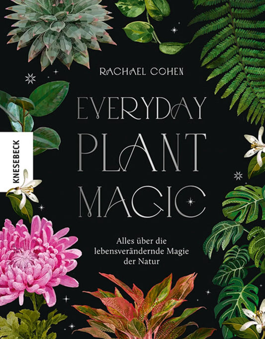 Everyday Plant Magic | Ratgeber