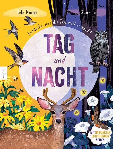 Tag & Nacht | Kinderbuch