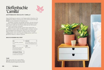 The Unkillables – 40 Zimmerpflanzen und wie sie garantiert überleben | Ratgeber