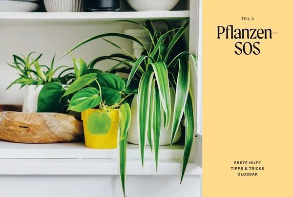 The Unkillables – 40 Zimmerpflanzen und wie sie garantiert überleben | Ratgeber
