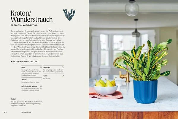 The Unkillables – 40 Zimmerpflanzen und wie sie garantiert überleben | Ratgeber