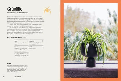 The Unkillables – 40 Zimmerpflanzen und wie sie garantiert überleben | Ratgeber