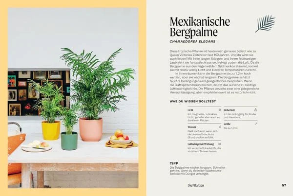 The Unkillables – 40 Zimmerpflanzen und wie sie garantiert überleben | Ratgeber