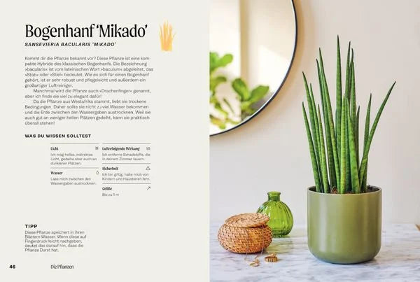 The Unkillables – 40 Zimmerpflanzen und wie sie garantiert überleben | Ratgeber