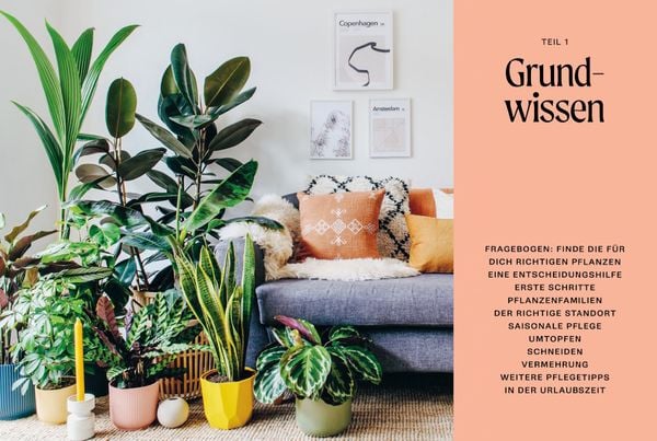 The Unkillables – 40 Zimmerpflanzen und wie sie garantiert überleben | Ratgeber