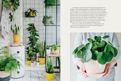 The Unkillables – 40 Zimmerpflanzen und wie sie garantiert überleben | Ratgeber