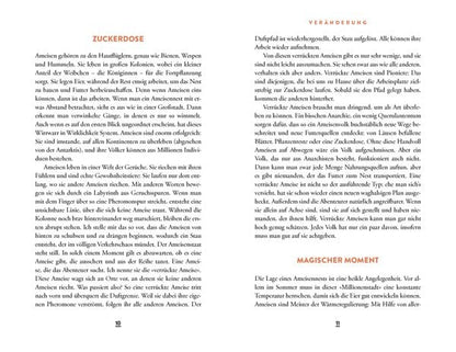 Wie eine verrückte Ameise die Welt verändern kann | Sachbuch