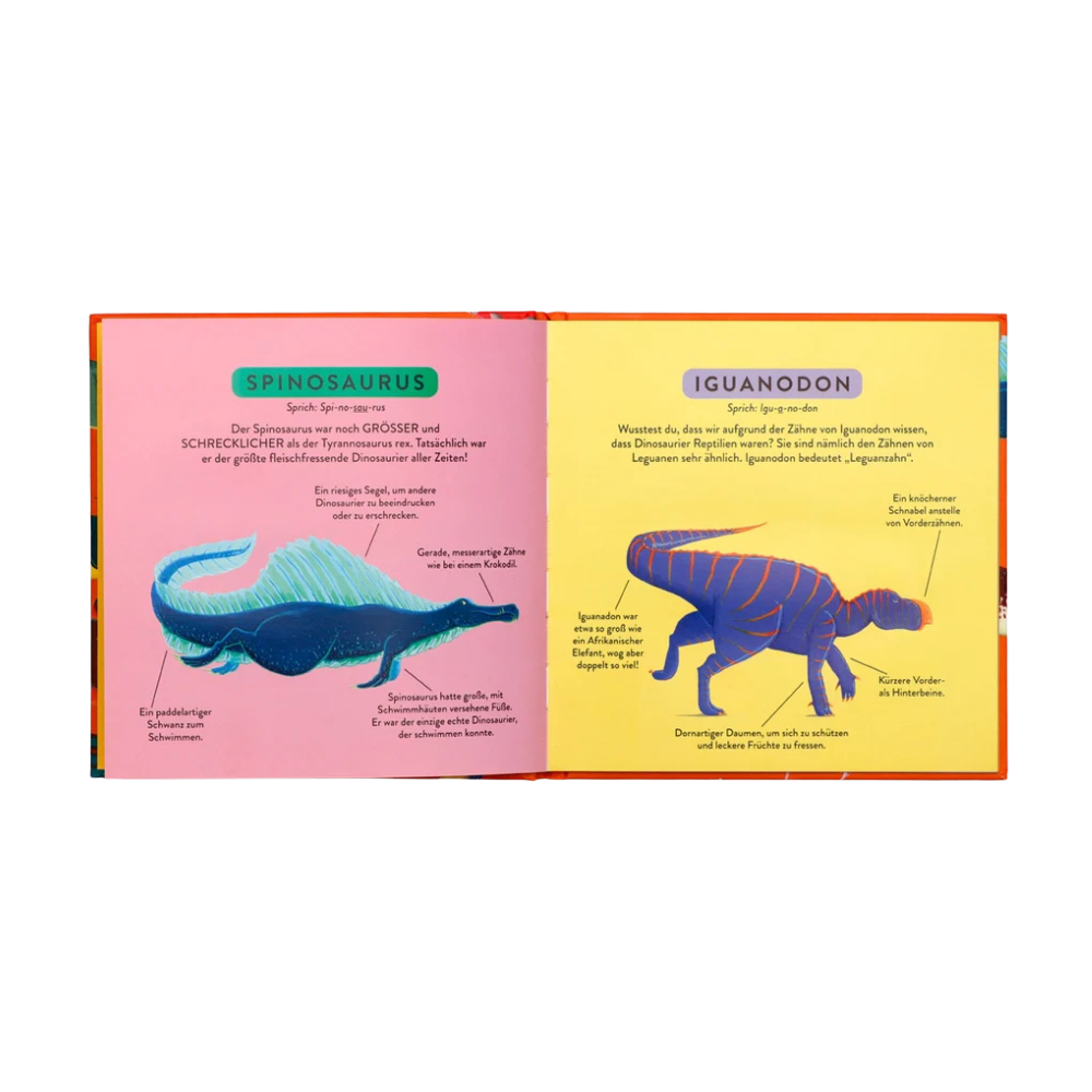 Mein Erstes Dino-Buch | Kinderbuch