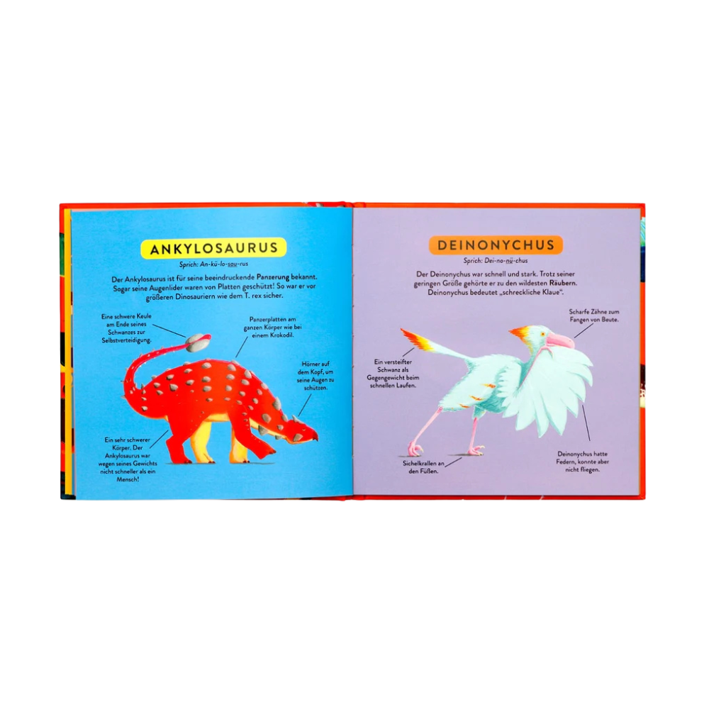 Mein Erstes Dino-Buch | Kinderbuch