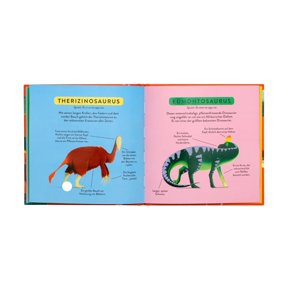 Mein Erstes Dino-Buch | Kinderbuch