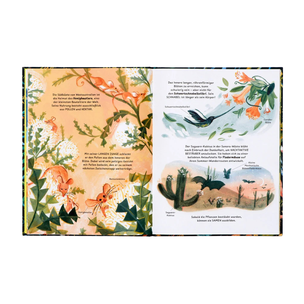 Freunde in der Natur | Laurence King| Kinderbuch