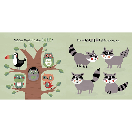 Der bunte Wald | Bilderbuch