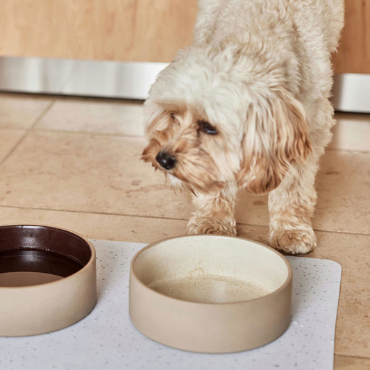 Sia | Keramik-Napf für Hunde