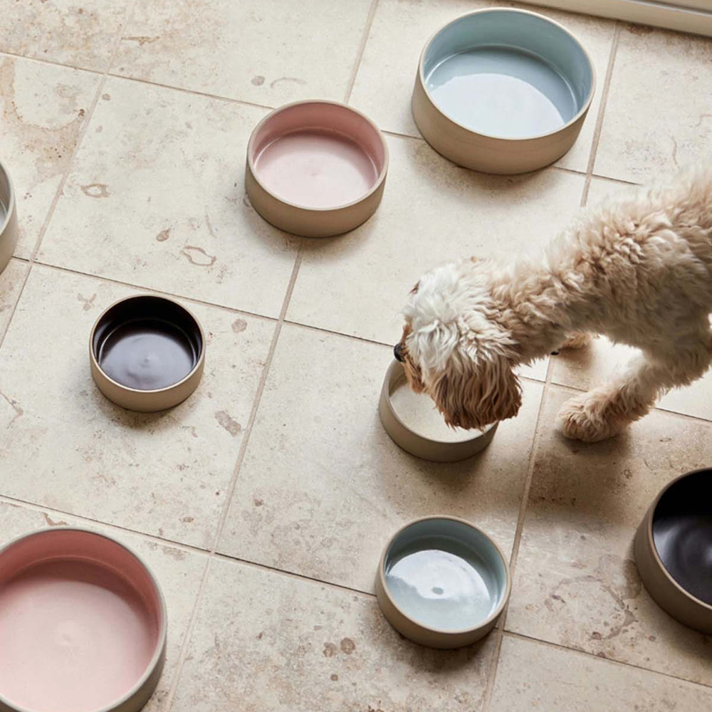 Sia | Keramik-Napf für Hunde