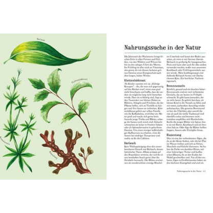 Im Flow mit den Jahreszeiten | Knesebeck | Ratgeber