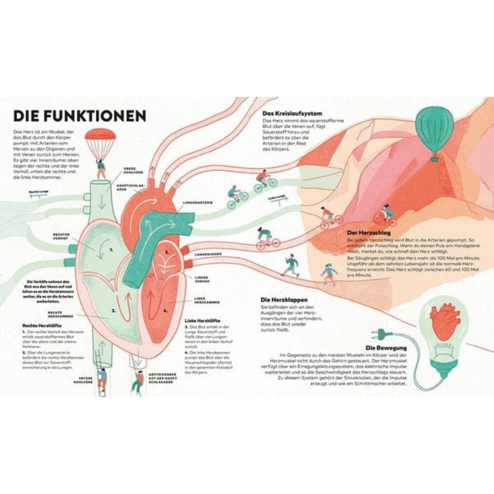 Das Herz | Knesebeck | Kinderbuch
