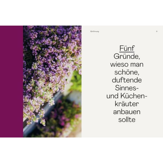 Kräuter, Kräuter, Kräuter | Sachbuch