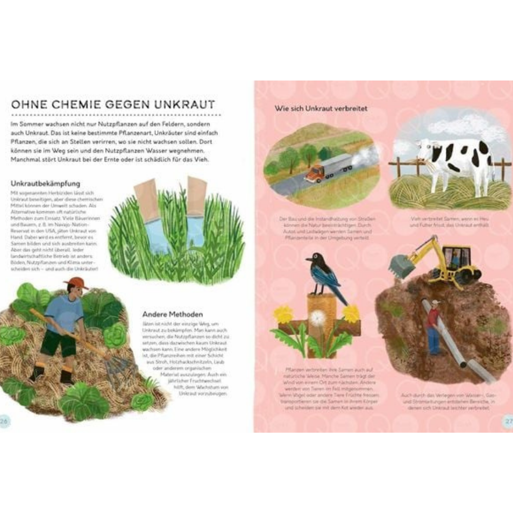 Vom Feld auf den Teller | Knesebeck | Kinderbuch